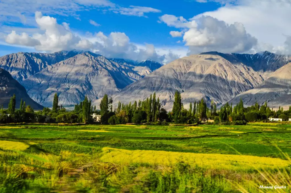 Magnificient Leh Sightseeing Tour Packages