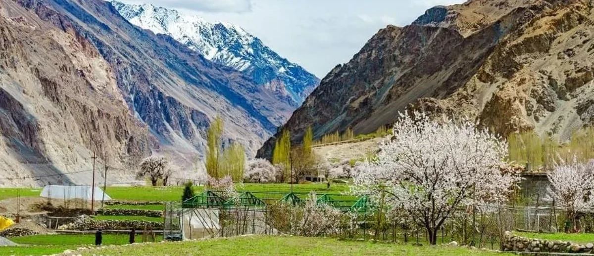 Engaging Leh Tour Package